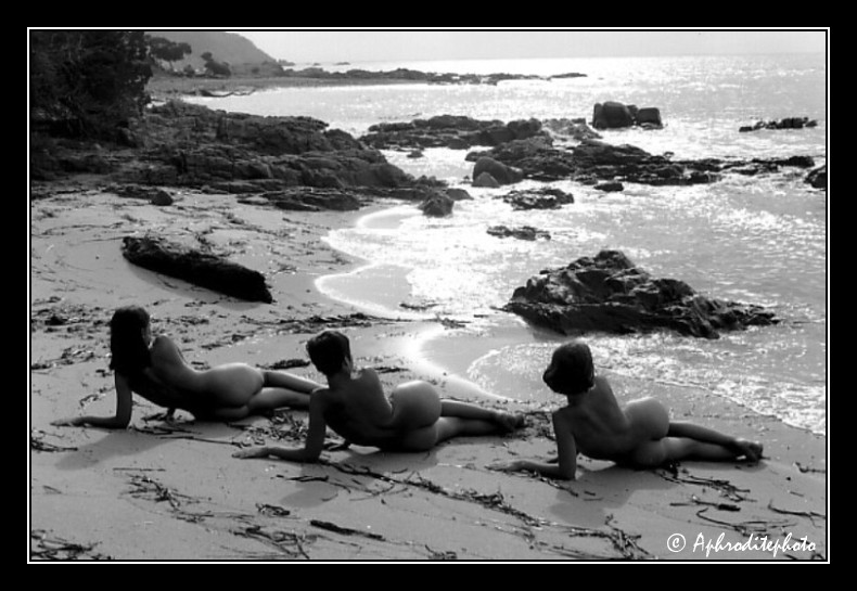 69 Trois sirènes échouées 10